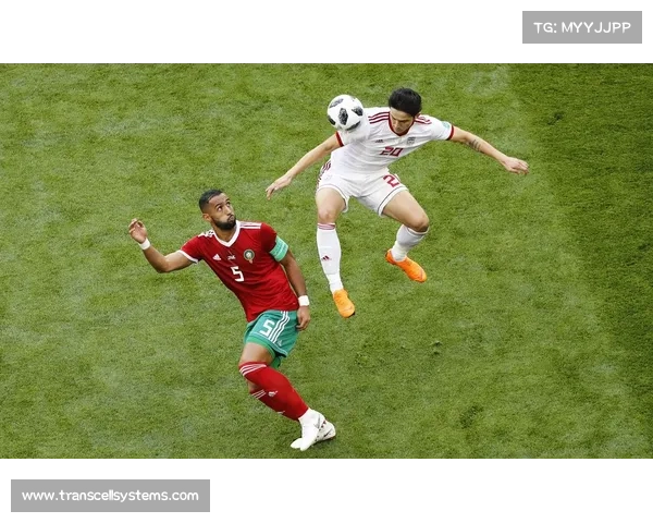 2018摩纳哥和伊朗