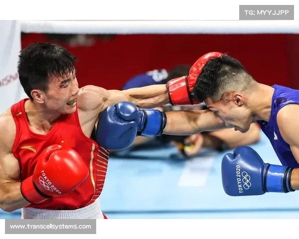 2017年搏击赛事统计—2021搏击