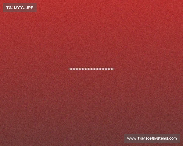 体育经纪人赛事经纪人的核心角色赛事运作策略与市场发展前景探析