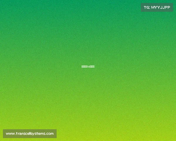 小查维兹vs席尔瓦