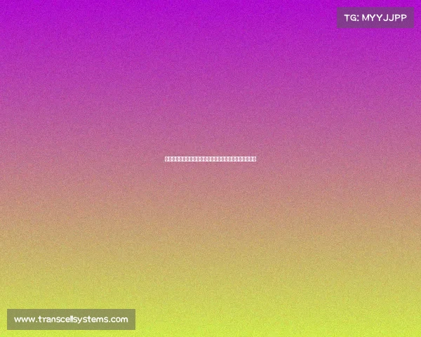 广汇飞虎训练营、新疆广汇飞虎篮球赛事激情开打荣耀绽放