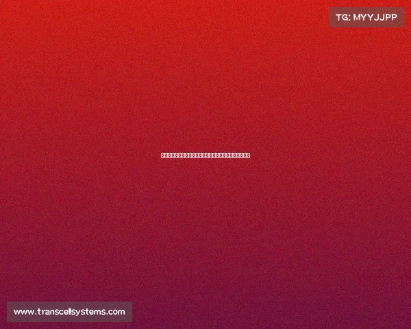 深入探讨高尔夫赛事名次解析排名规则积分机制及影响分析