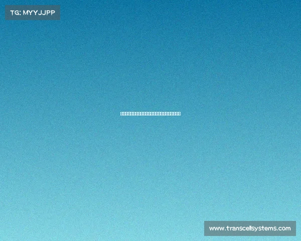 赛事品牌授权战略核心多元合作赋能体育产业创新发展