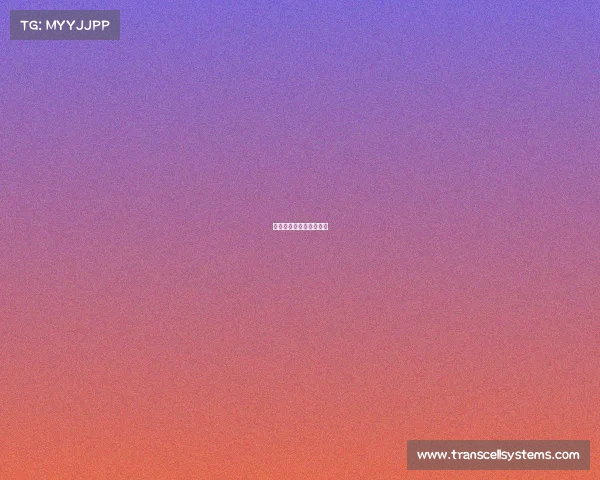 乒乓球的重大赛事有哪些