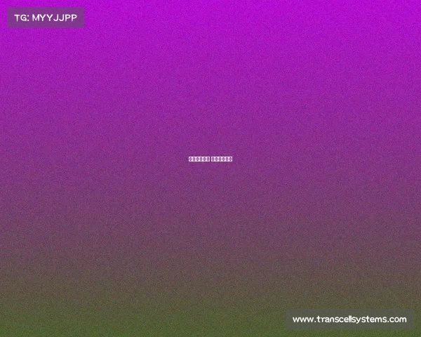 博古特的赛事 博古特总得分