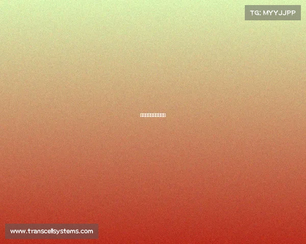 墨西哥联赛赛事时间表