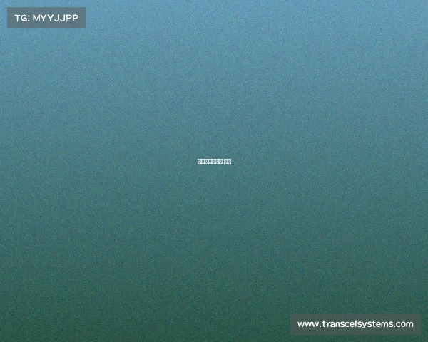 砀山国际赛马场 概况