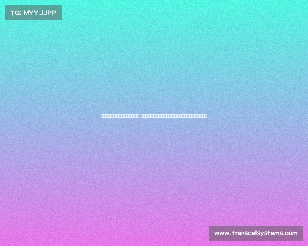 赛事招商指南的内容要点包括哪些-聚焦赛事招商人才培养招募精英团队赋能赛事商业价值实现