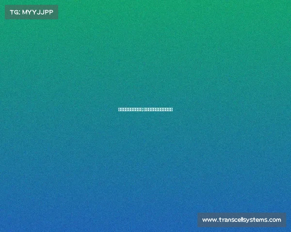 福建男篮今晚赛事直播;福建男篮今晚赛事直播视频