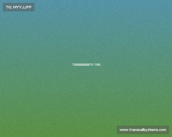 18年热火赛事视频热火队18-19阵容