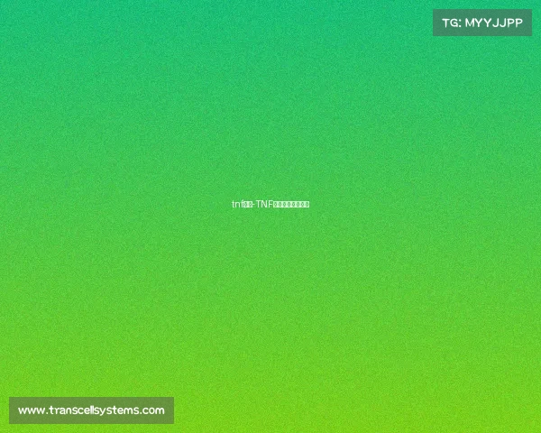 tnf赛事-TNF赛事是含金量高吗