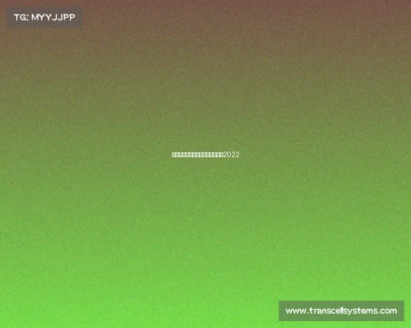 世界怀韩国赛事比分—韩国世界杯2022