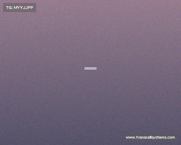 乒乓球赛最新战况