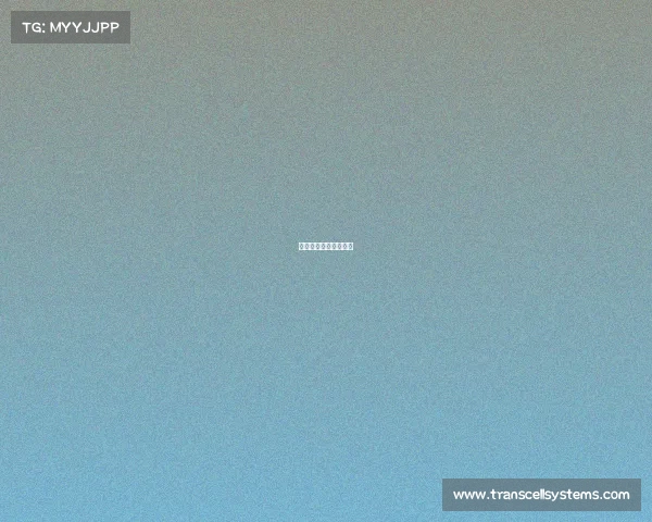 体育赛事招标办法规定