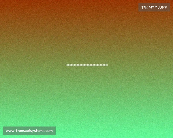 搏击赛事规程全方位解析规则详解选手安全裁判标准赛事组织流程 搏击赛事规程全方位解析规则详解选手安全裁判标准赛事组织流程