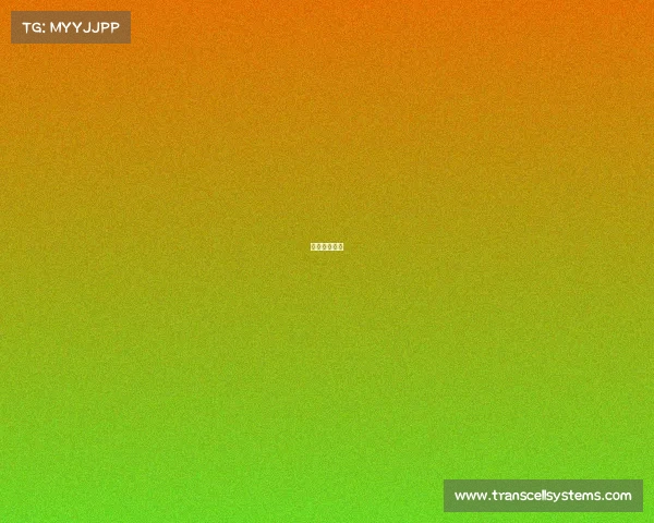 欧冠赛事预测 欧冠赛事预测