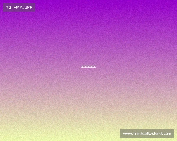 法国意大利决赛世界杯