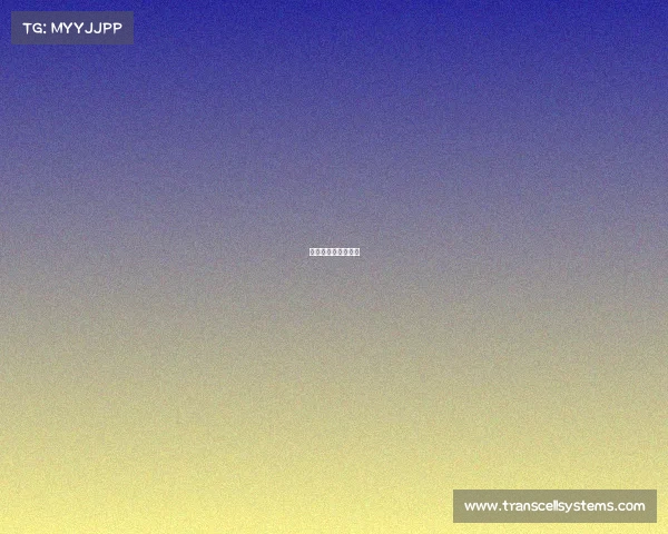 男篮亚锦赛直播时间 男篮亚锦赛直播时间