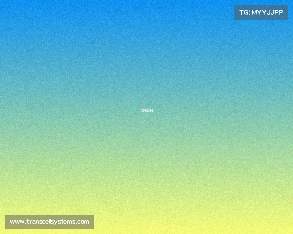 西王队赛程 西王队赛程